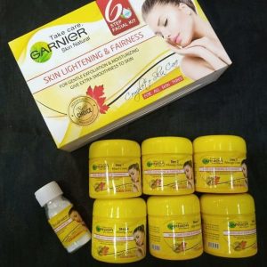 Garnier Facial Kit